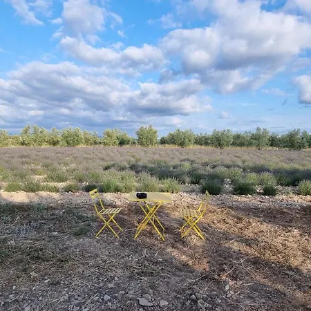 Les Lavandes Valensole