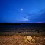 Luxuszelt Nuit Insolite Dans Les Lavandes De Valensole