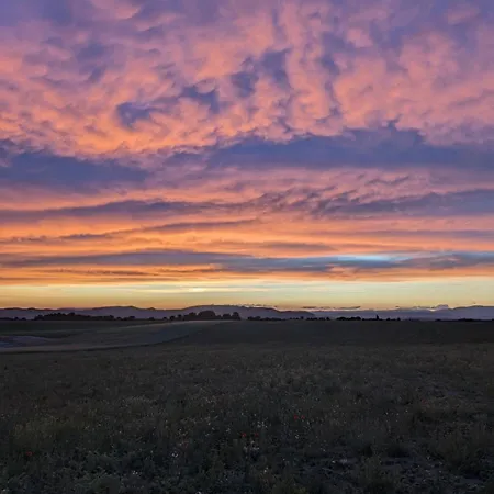 Les Lavandes Campo de lujo