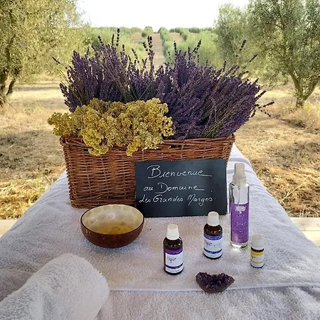 Les Lavandes Campo de lujo