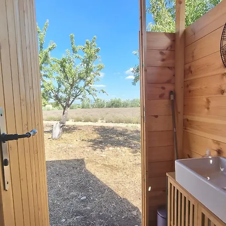 Les Lavandes * Valensole