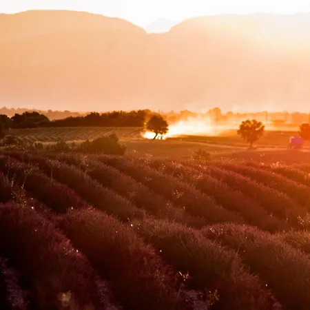 Campo de lujo Les Lavandes