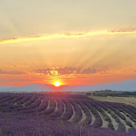 Nuit Insolite Dans Les Lavandes De * Valensole