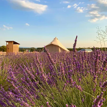 Les Lavandes * Valensole