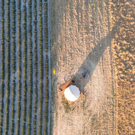Les Lavandes Campo de lujo