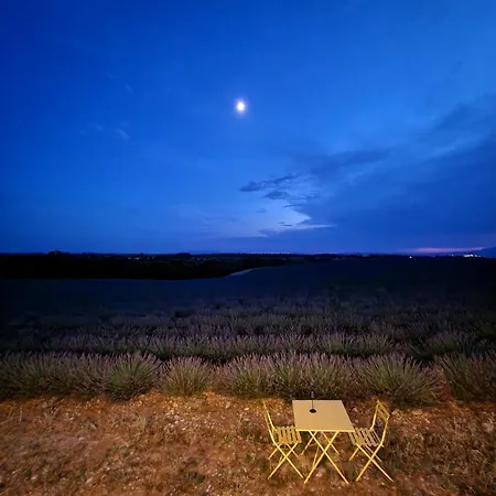 Campo de lujo Les Lavandes Valensole
