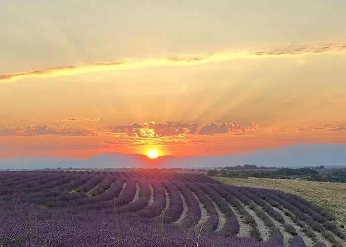 Les Lavandes * Valensole