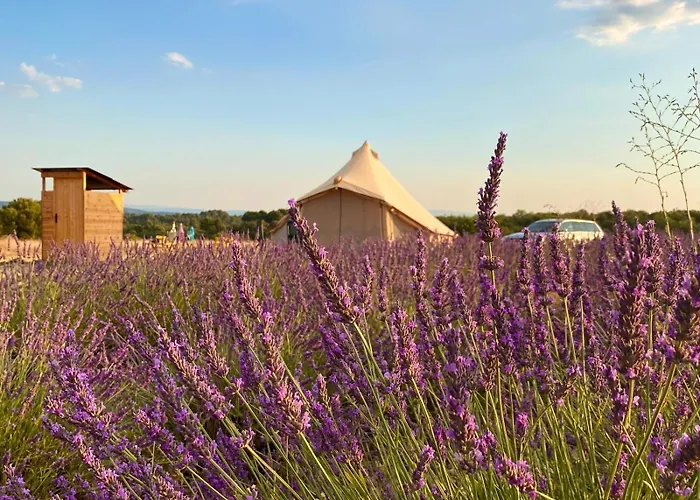 Les Lavandes * Valensole